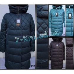 Куртка жіноча Linn851a холлофайбер 6 шт (L-5XL)