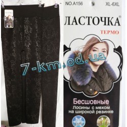 Лосины бесшовные женские Semk_A156 мех 6 шт (50-56 р)