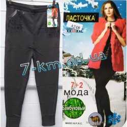 Лосины женские Semk_A248 мех 6 шт (50-56 р)