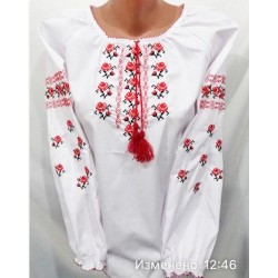 Костюм-вишиванка "Неповторність" жіночий 1 шт (S-XL) льон VhV_193097