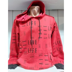 Худі чоловічий HR1890_120708 трикотаж 4 шт (M-XXL)