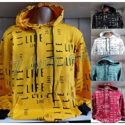 Худі чоловічий HR1890_12082206 двонитка 4 шт (46-52 р)