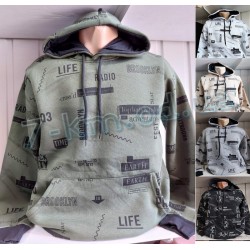 Худі чоловічий HR1890_160910 фліс 4 шт (46-52 р)