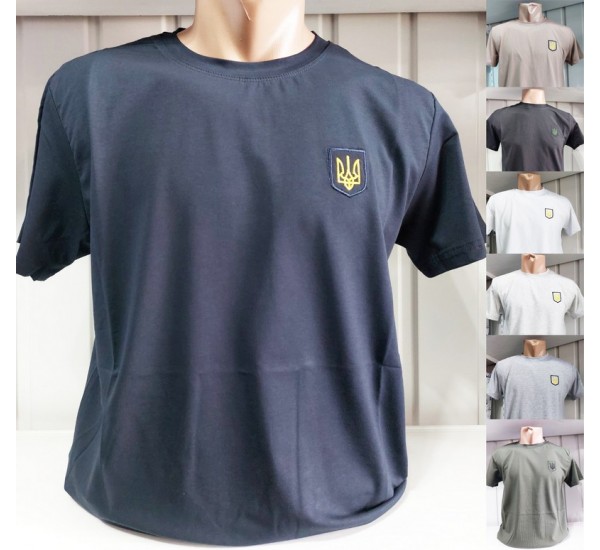 Футболка чоловіча (S-XXL) бавовна 5 шт HR1890_190508