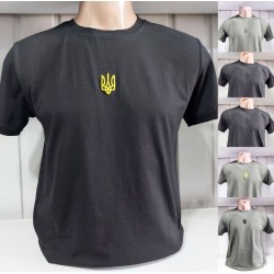 Футболка чоловіча (S-XXL) бавовна 5 шт HR1890_190509