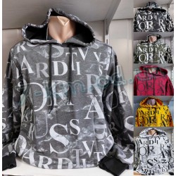 Худі чоловічий HR1890_200701 двонитка 4 шт (46-52 р)