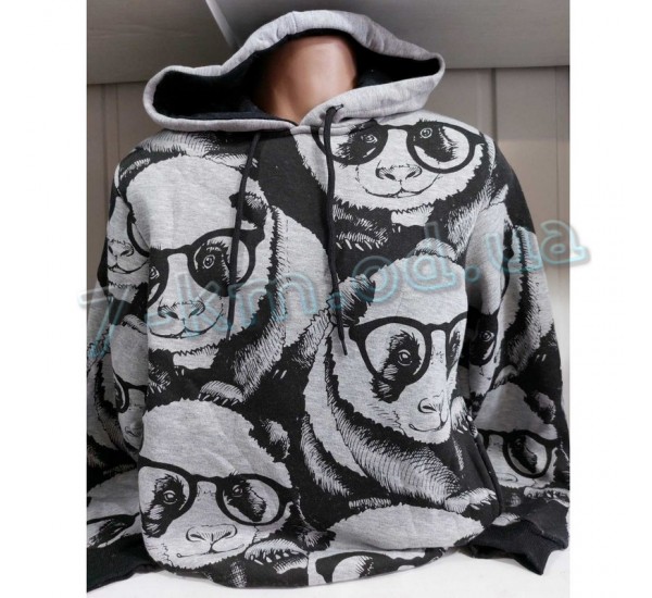 Худі чоловічий HR1890_251013 фліс 4 шт (46-52 р)