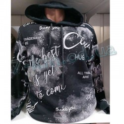 Худі чоловічий HR1890_251009 фліс 4 шт (46-52 р)