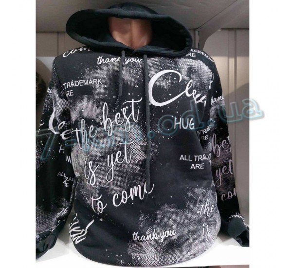 Худі чоловічий HR1890_251009 фліс 4 шт (46-52 р)