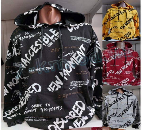 Худі чоловічий HR1890_270702 двонитка 4 шт (46-52 р)