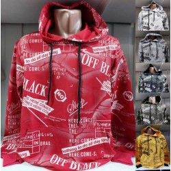 Худі чоловічий HR1890_300307 двунитка 4 шт (M-2XL)