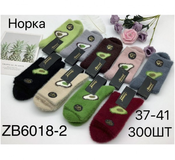 Носки женские 10 шт (37-41 р) норка KiE_ZB-6018-2