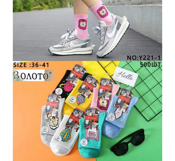 Носки женские Y221-1 коттон 10 шт (36-41 р) KiE_150326