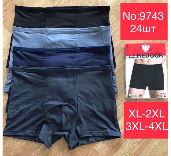 Труси чоловічі KiE_9743 коттон 24 шт (1-4XL)