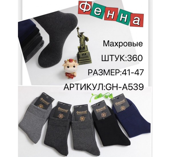 Носки мужские 10 шт (41-47 р) махра KiE_A539