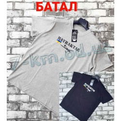 Футболка чоловіча батал стрейч-коттон 4 шт (2-5XXL) LoS_801-1a