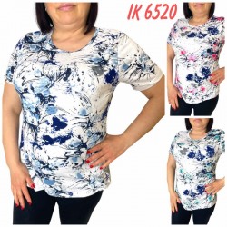 Футболка жіноча трикотаж 6 шт (L-4XL) SeR2152_6520