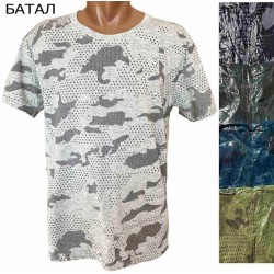 Футболка мужская трикотаж 5 шт (4-7XL) SeR2152_040297