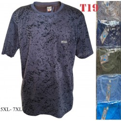 Футболка чоловіча трикотаж 6 шт (4-8XL) SeR2152_T19