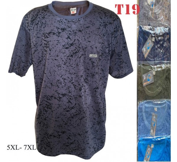 Футболка чоловіча трикотаж 6 шт (4-8XL) SeR2152_T19