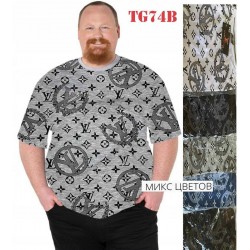 Футболка чоловіча трикотаж 5 шт (6-8XL) SeR2152_TG74B