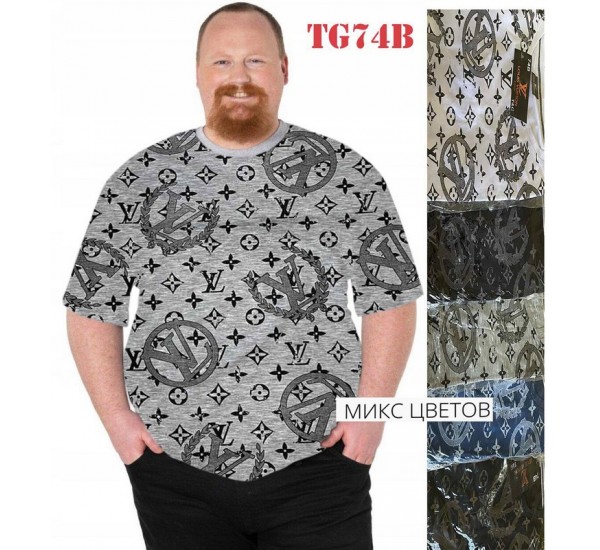 Футболка мужская трикотаж 5 шт (6-8XL) SeR2152_TG74B