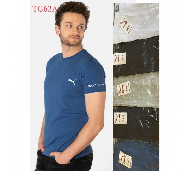 Футболка мужская трикотаж 5 шт (1-3XL) SeR2152_TG62A