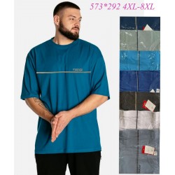 Футболка чоловіча трикотаж 5 шт (4-8XL) SeR2152_573-292