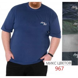 Футболка чоловіча, супер батал 6 шт (4-8XL) трикотаж SeR2152_967