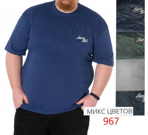 Футболка чоловіча, супер батал 6 шт (4-8XL) трикотаж SeR2152_967