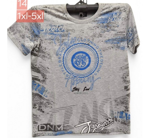 Футболка чоловіча, трикотаж, 5 шт (1-5XL) BL3060_14