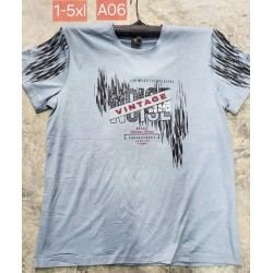 Футболка чоловіча, трикотаж, 5 шт (1-5XL) BL3060_A06