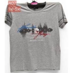 Футболка чоловіча, трикотаж, 5 шт (1-5XL) BL3060_A07