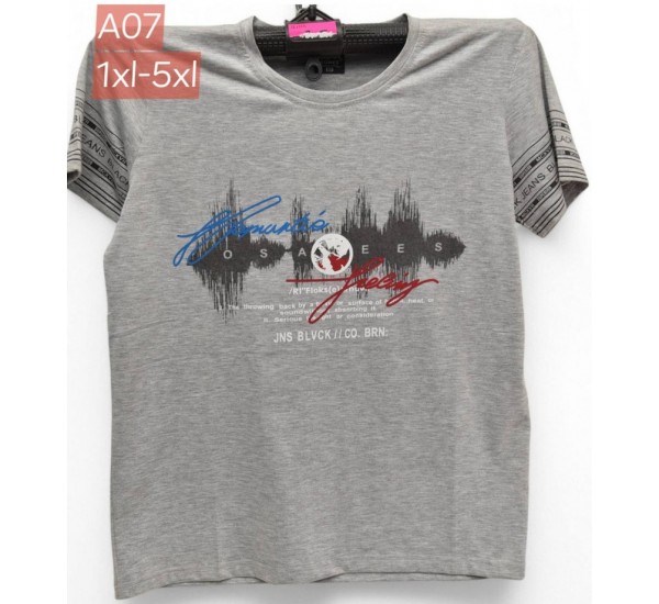 Футболка чоловіча, трикотаж, 5 шт (1-5XL) BL3060_A07