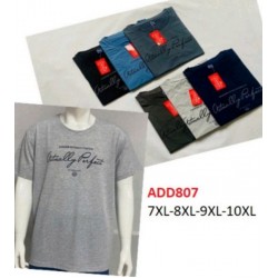 Футболка чоловіча, трикотаж, 5 шт (7-10XL) BL3060_ADD807
