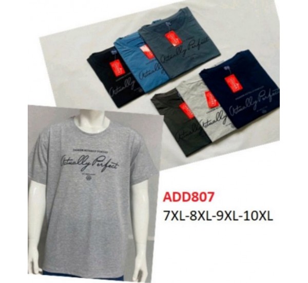 Футболка чоловіча, трикотаж, 5 шт (7-10XL) BL3060_ADD807