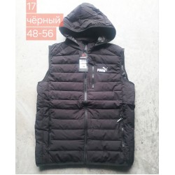 Безрукавка чоловіча, синтепон, 5 шт (48-56 р) BL3060_E17d