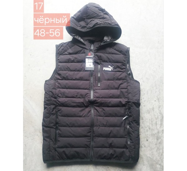 Безрукавка чоловіча, синтепон, 5 шт (48-56 р) BL3060_E17d