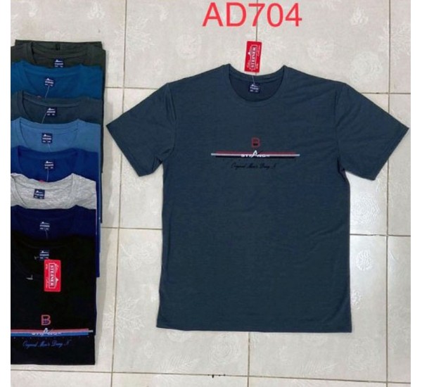 Футболка чоловіча, трикотаж, 5 шт (5-8XL) BL3060_AD704