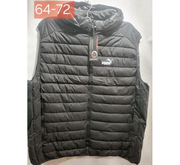 Безрукавка чоловіча, синтепон, 5 шт (64-72 р) BL3060_211255