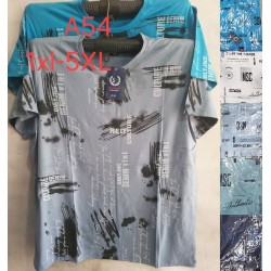 Футболка чоловіча, трикотаж, 5 шт (1-5XL) BL3060_A54