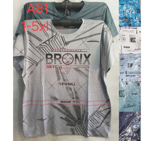 Футболка чоловіча, трикотаж, 5 шт (1-5XL) BL3060_A81