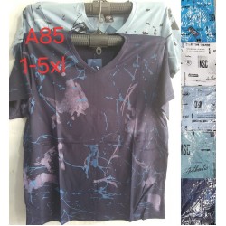 Футболка чоловіча, трикотаж, 5 шт (1-5XL) BL3060_A85