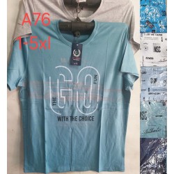 Футболка чоловіча, трикотаж, 5 шт (1-5XL) BL3060_A76