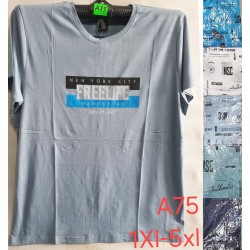 Футболка чоловіча, трикотаж, 5 шт (1-5XL) BL3060_A75