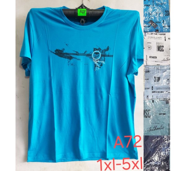 Футболка чоловіча, трикотаж, 5 шт (1-5XL) BL3060_A72