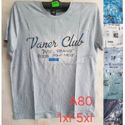 Футболка чоловіча, трикотаж, 5 шт (1-5XL) BL3060_A80