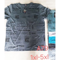 Футболка чоловіча, трикотаж, 5 шт (1-5XL) BL3060_A79