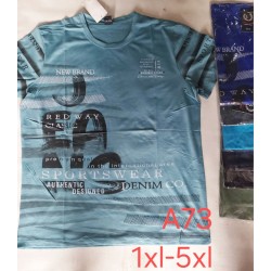 Футболка чоловіча, трикотаж, 5 шт (1-5XL) BL3060_A73