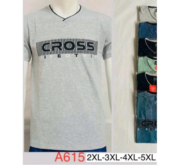 Футболка чоловіча, трикотаж, 5 шт (2-5XL) BL3060_A615